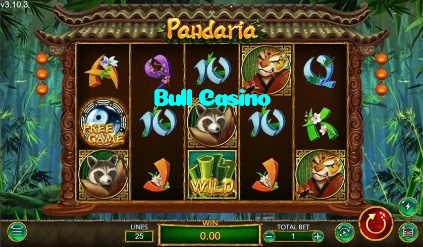 making first deposit on Bull Casino website using local payment methods in Pakistan